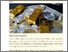 [thumbnail of The $2 Trillion Wipeout.pdf]