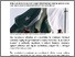 [thumbnail of Pakistan’s Anti-Terror Resolution And The Legal Limits Of Cross-Border Action.pdf]