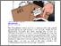 [thumbnail of A code neither considerate nor reformist.pdf]