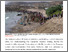 [thumbnail of From the migration crisis in Ceuta comes a warning for India.pdf]