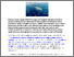 [thumbnail of The Paradox of Procedural Rights.pdf]