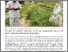 [thumbnail of Why India should worry much more about weaponised migration.pdf]