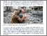 [thumbnail of The here and now of a 'forever war' period.pdf]