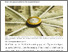 [thumbnail of India’s growth dreams need a reality check.pdf]